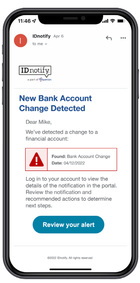 Financial Account Monitoring Alert Type Example